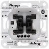 Kopp Smart-control Hybrid-Smart-Switch Serienschalter 2-Kanal 4-Draht