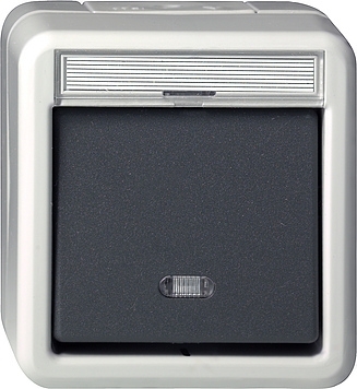 Gira Wippkontrollschalter 2-polig Aufputz IP44 grau