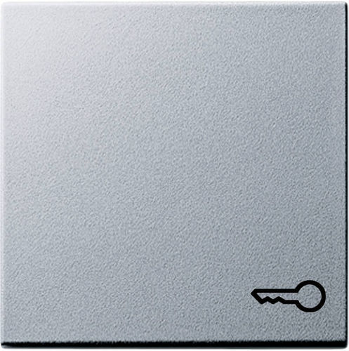 Gira Wippe Symbol Tür System 55 alu