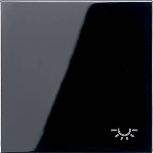 Jung Wippe Serie LS Symbol Licht schwarz