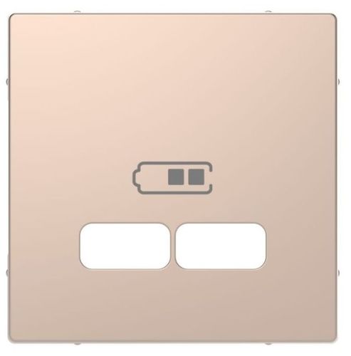 Merten Zentralplatte USB Ladestation System Design champagnermetallic
