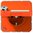 Jung Steckdose Klappdeckel mit Sicherheitsschloss Serie CD orange mit Schriftfeld Kinderschutz