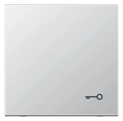 Jung Wippe mit Symbol Tür Serie LS Metall aluminium