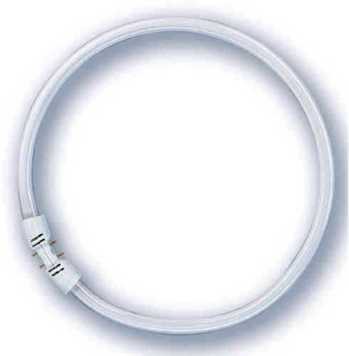 Osram Leuchtstofflampe Ringform Lumilux 22 Watt 840